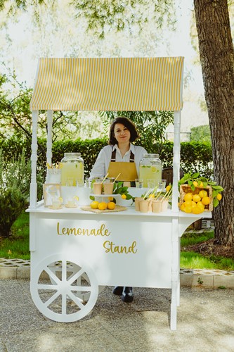 Lemonade Bar - Stand