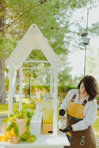 lemonade stand gia gamo