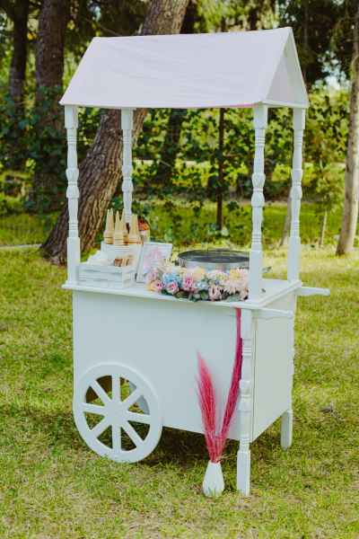 Καροτσακι Παγωτου